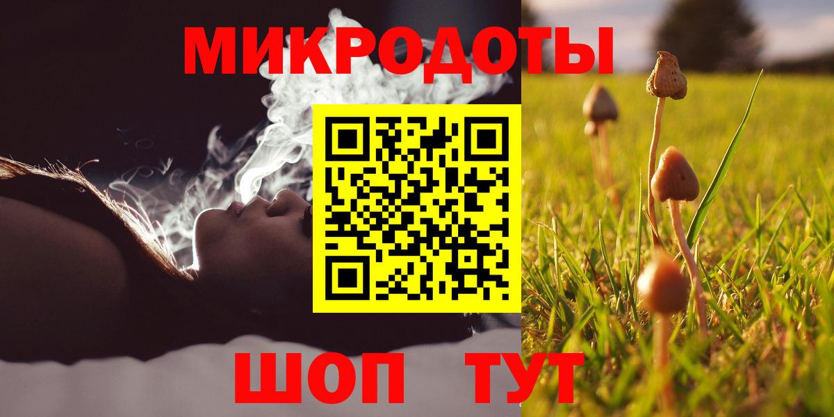 Галлюциногенные грибы прущие грибы  Вход с VPN  Касимов 